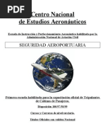 Manual Seguridad Aeroportuaria
