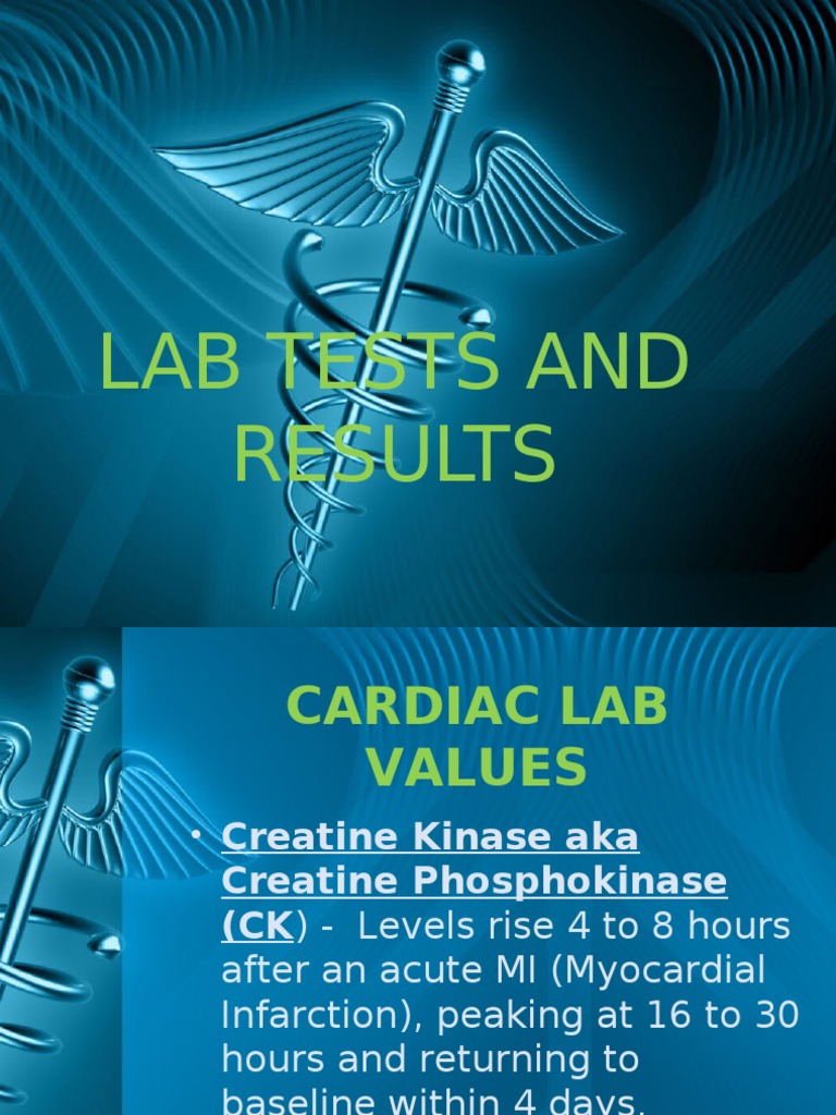 Lab Tests and Results PDF Lactate Dehydrogenase Myocardial Infarction