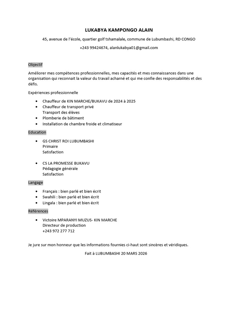 CV Alain PDF | PDF