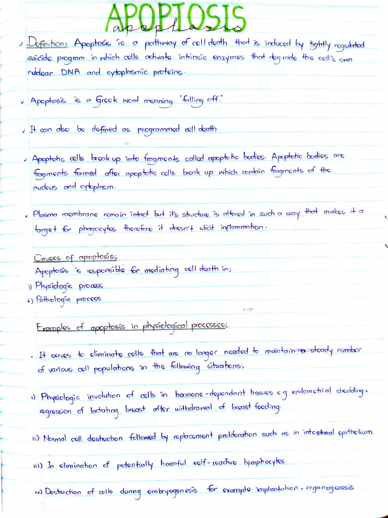 Apoptosis and Necrosis | PDF | Bcl 2 | Apoptosis