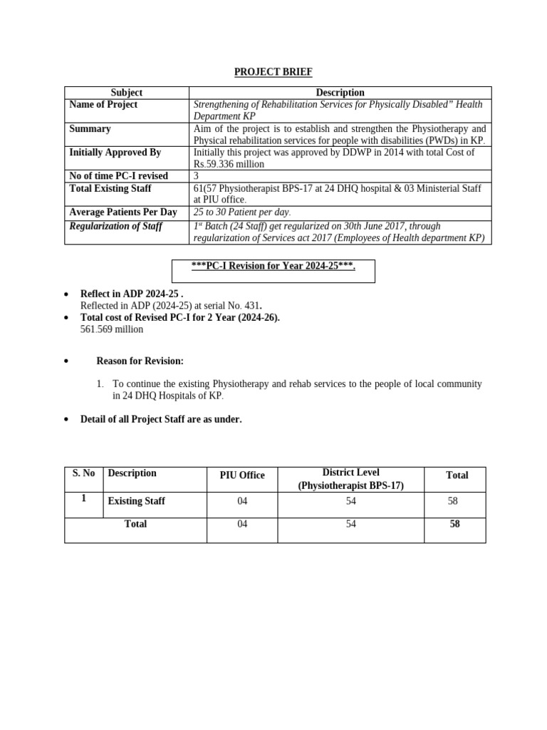 Project Brief | PDF