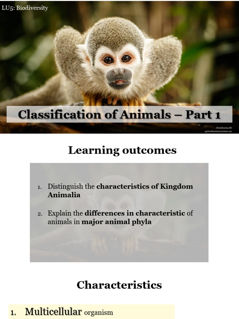 Classification of Animals [Part 1] 2026 ...