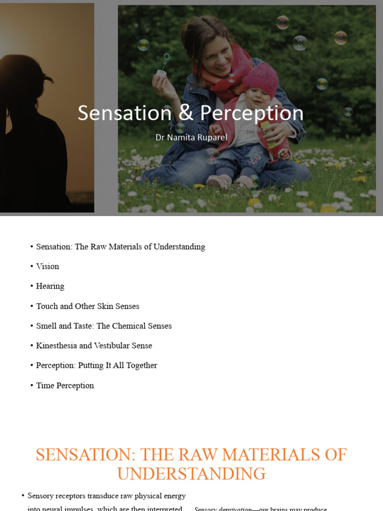 IP Sensation - Perception.pptx | PDF | Senses | Perception