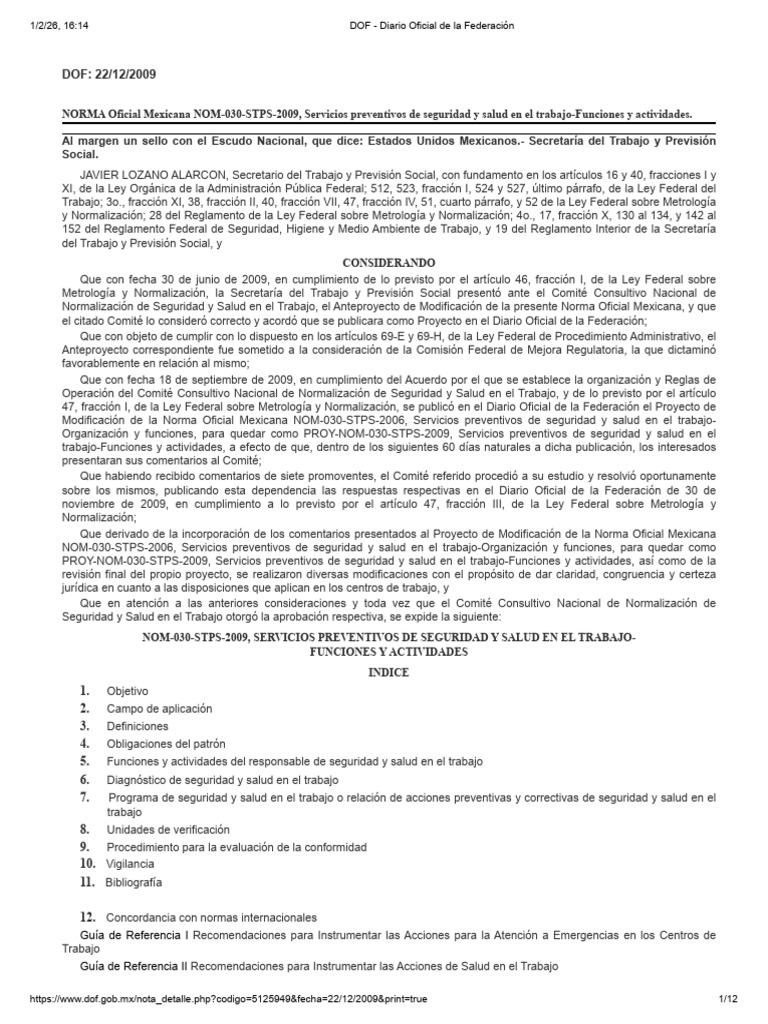 Nom 030 Stps | PDF | Riesgo | Valores