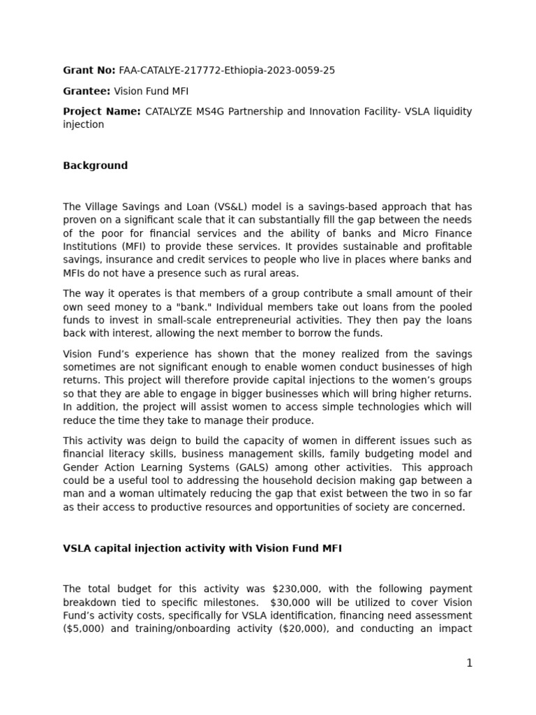 VSLA status update and justification | PDF | Microfinance | Business