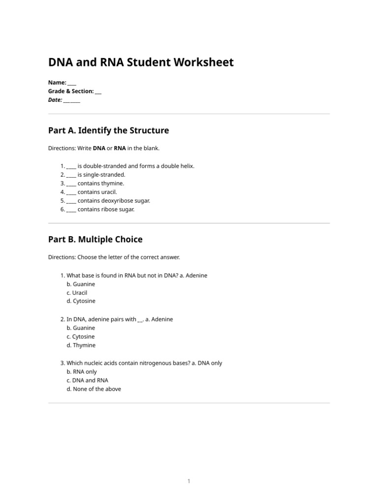 Dna and Rna Student Worksheet | PDF | Dna | Nucleic Acids