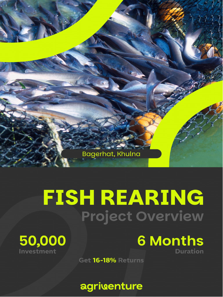 Fish Rearing Project Proposal February 2026-1 | PDF | Agriculture ...