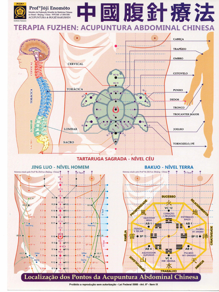 Mapa Acupuntura Abdominal Chineza FUZHEN | PDF | Medicina Chinesa ...