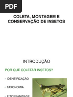 COLETA, MONTAGEM E CONSERVAÇÃO DE INSETOS