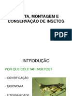 Coleta, Montagem e Conservação de Insetos