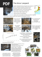 Amur Leopard: Facts and Conservation Status | PDF | Leopard ...