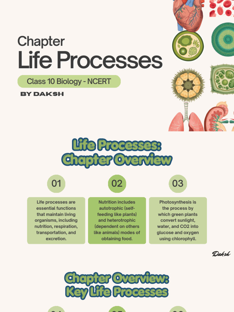 Life Processes Class 10 Biology by Daksh | PDF | Nutrition | Diet ...