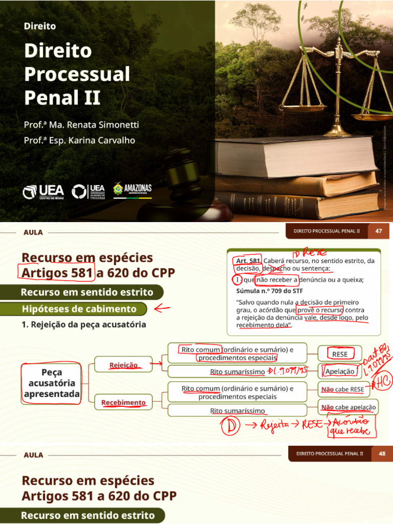 Car Dir DPP Ii 13 Anot | PDF