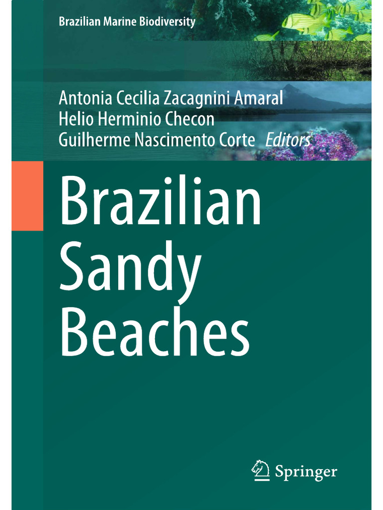 Brazilian Sandy Beach Systems | PDF