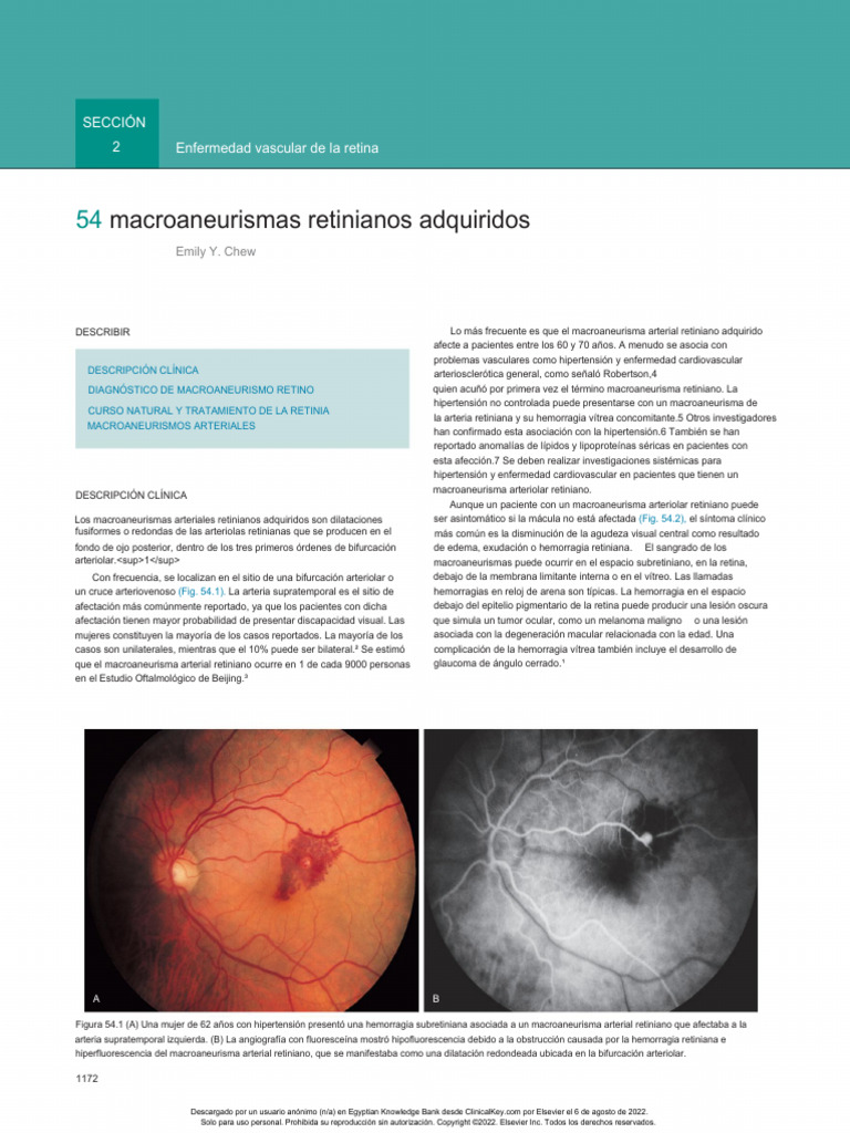 Cap 54 Ryans Retina 7th Ed 3 Volume Set-1215-1218 | PDF | Hipertensión ...