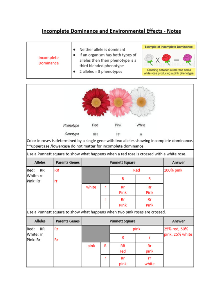Incomplete Dominace - Notes Key | PDF | Dominance (Genetics ...