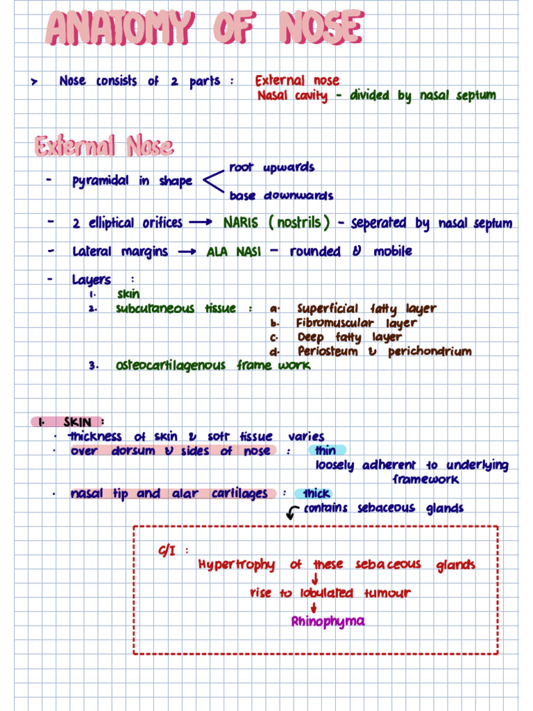 Anatomy of Nose | PDF | Human Nose | Otorhinolaryngology
