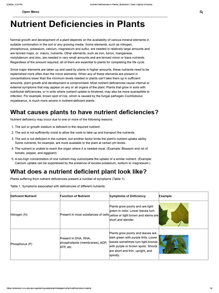 Nutrient Deficiencies in Plants _ Extension _ West Virginia University ...