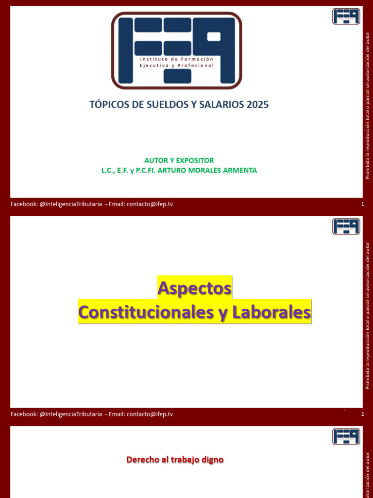 Tópicos de Sueldos y Salarios 2025 | PDF | Derecho laboral | Salario