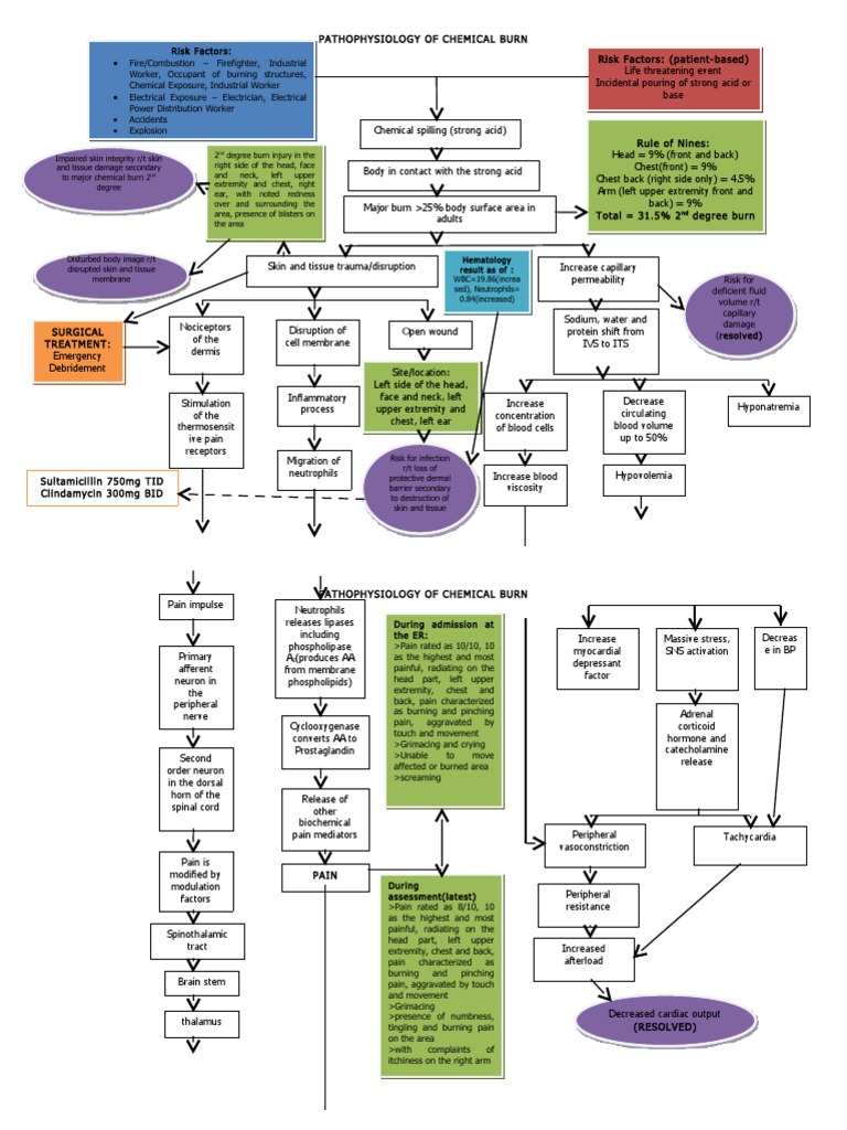 Pathophysiology of Burn PDF Pain Burn