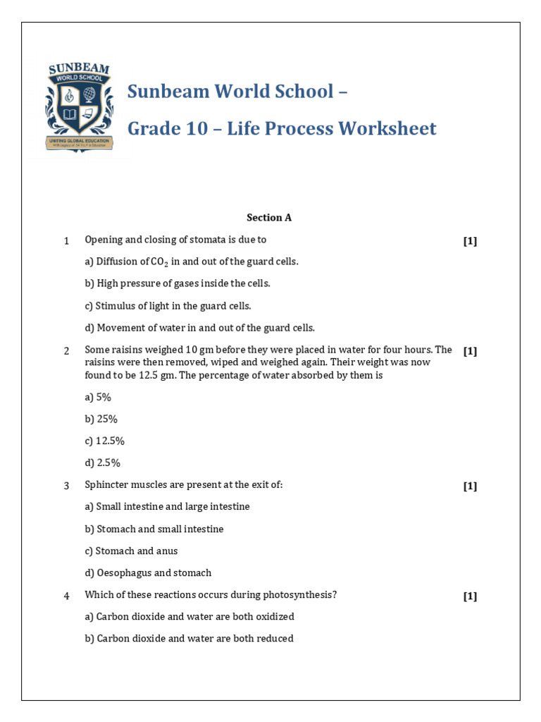 Grade 10 Life Process Worksheet | PDF | Human Digestive System | Digestion