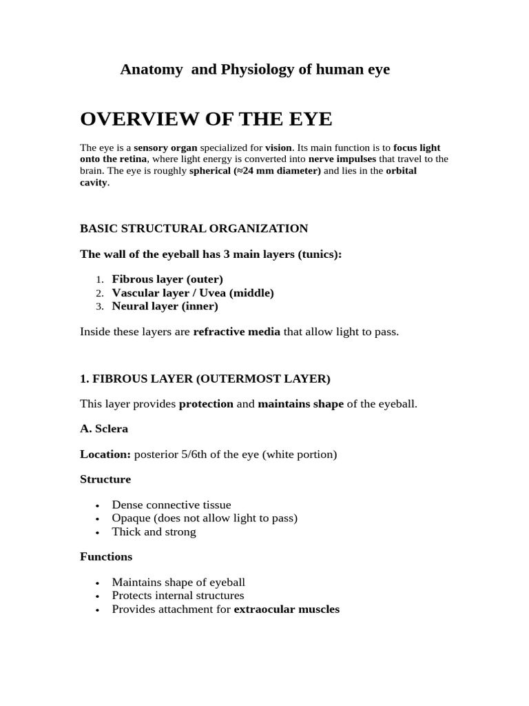 Anatomy and Physiology of Human Eye | PDF | Human Eye | Visual System