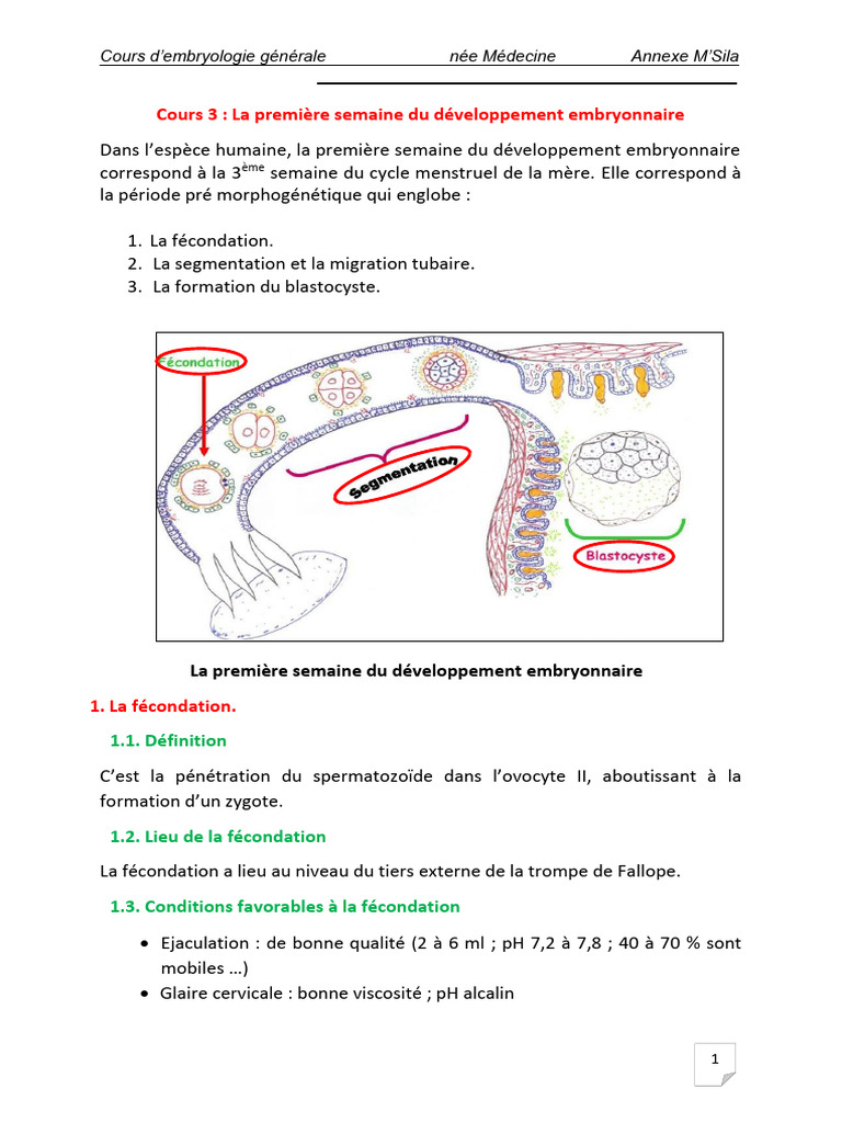 Cours Première Semaine Du Developpement Embryonnaire - Copie | PDF ...