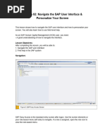 Changing SAP GUI Themes Guide | PDF