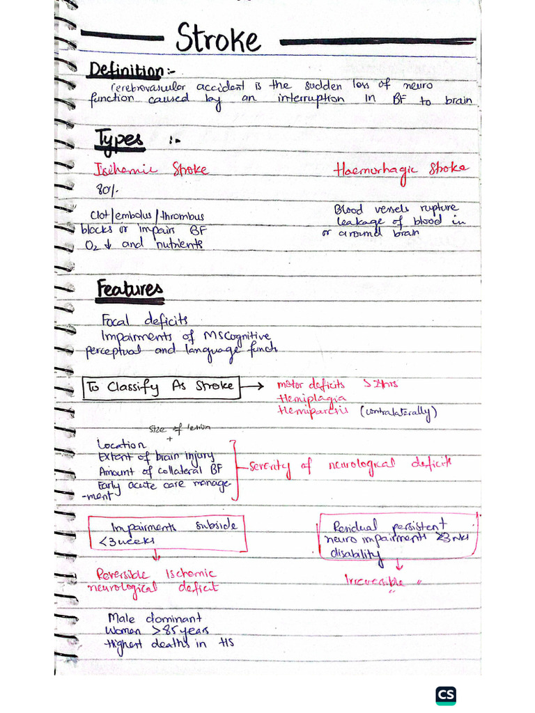 stroke notes | PDF