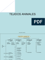 Tejidos Animales