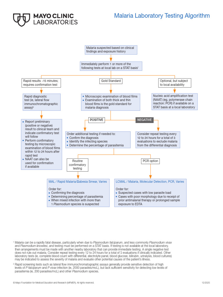 Malaria Laboratory Testing Algorithm | PDF | Malaria | Plasmodium