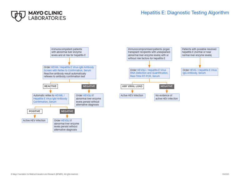 Hepatitis E Diagnostic Testing Algorithm | PDF