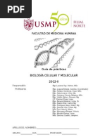 Download Gua de Prcticas de Biologa Celular y Molecular 2012 - Medicina USMP Filial Norte by Medicina Usmp Filial Norte SN103104650 doc pdf