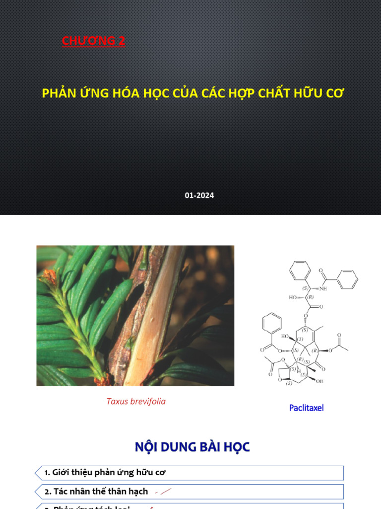 2020 Bghdc3 Chuong 2 Trân Gui Sv | PDF