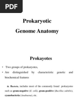 Lecture 1 Anatomy of Prokarotic Genome 31 Jan 2012