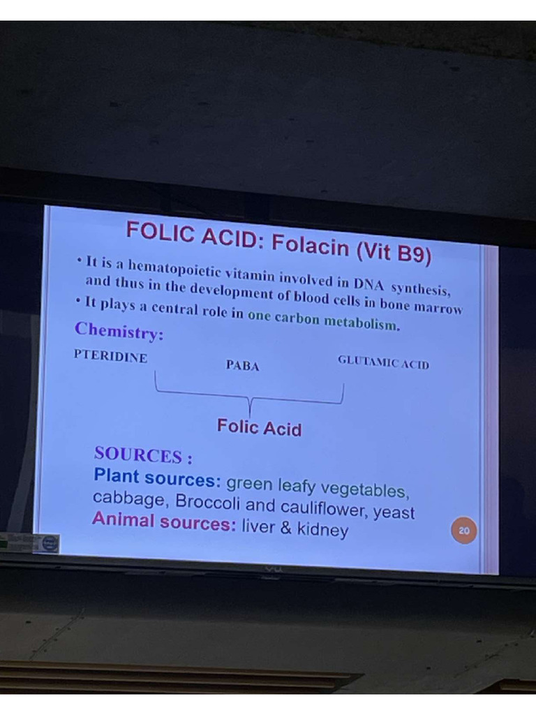Vit B9 + B12 Till Active Forms | PDF
