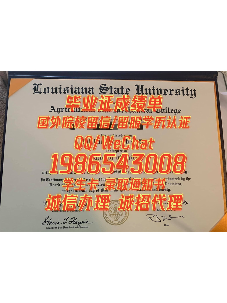 复刻LSU Student Card ID | PDF