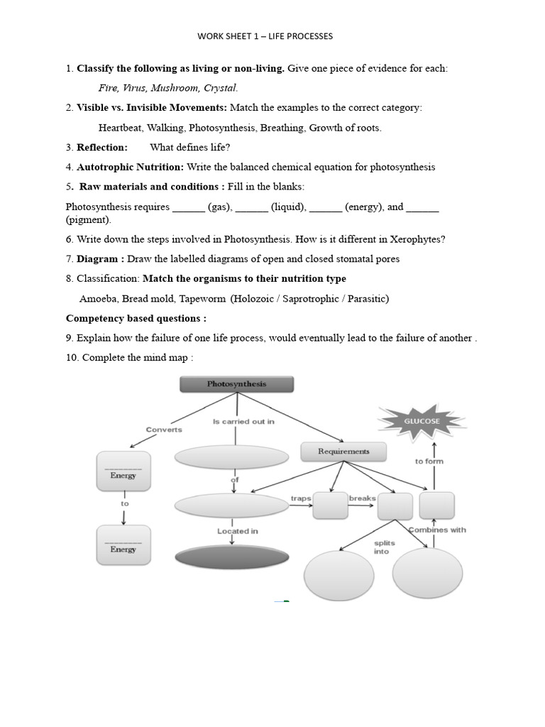 Biology Worksheet 1 -Life Processes.docx | PDF