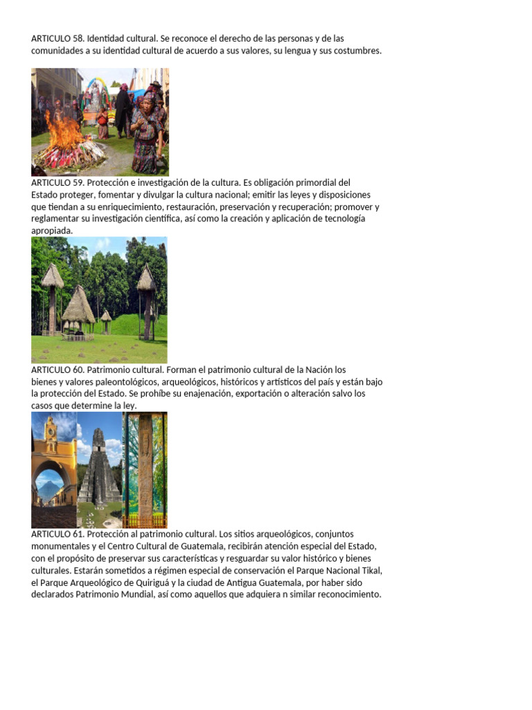 Articulo 58 | PDF | Patrimonio cultural | Estado (política)