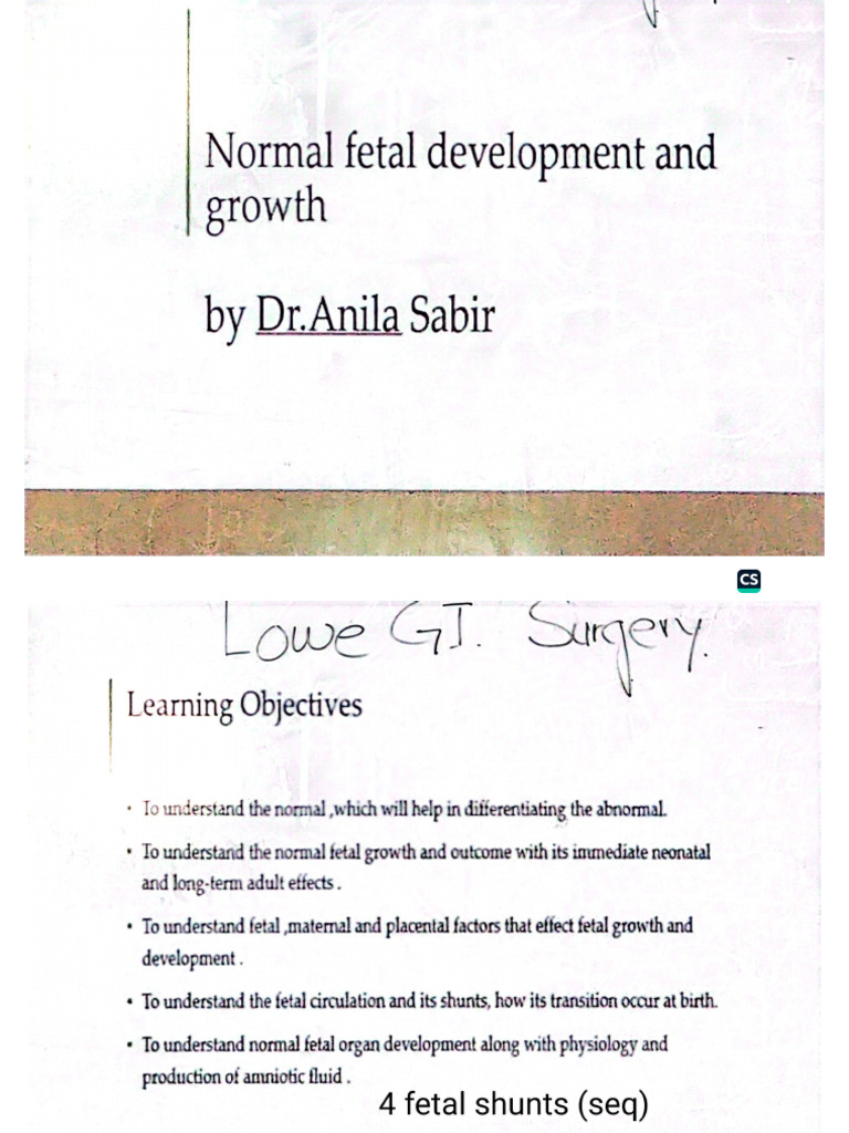 Normal Fetal Development Gynae | PDF