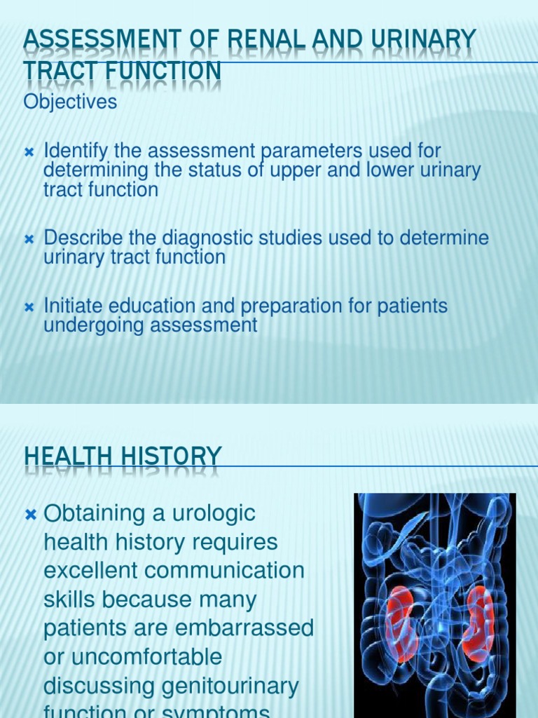 Assessment of Renal and Urinary Tract Function PDF Urinary