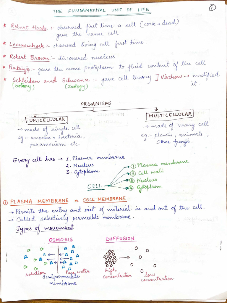 Cell Notes Class 9 - Compressed | PDF