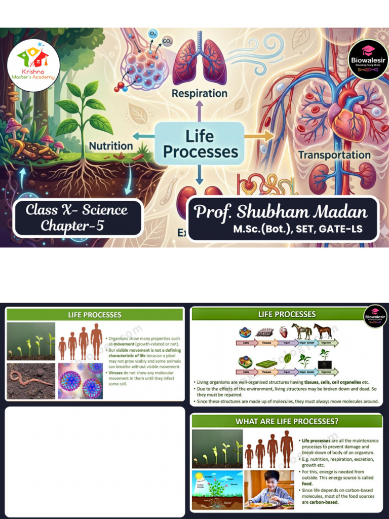 Life Processes | PDF