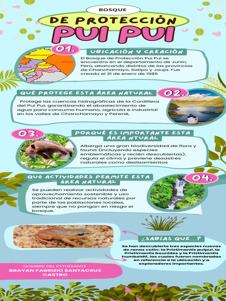 Infografia Ranas Animales Ambiental Informativa Llamativa Verde Azul | PDF