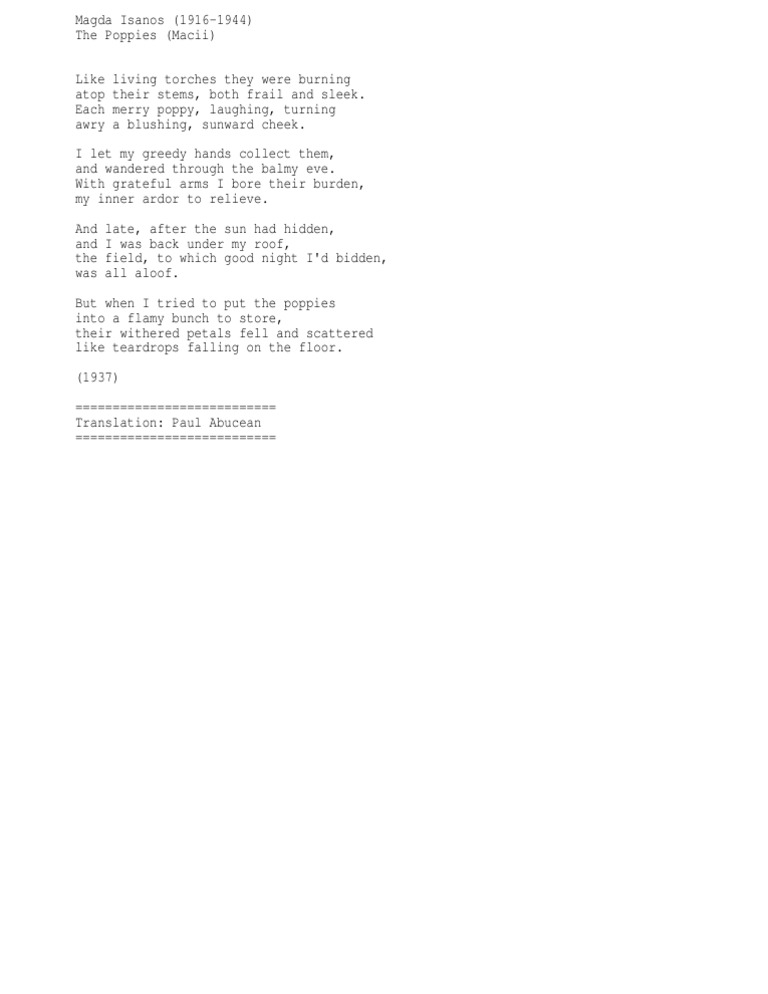 Magda Isanos The Poppies Macii