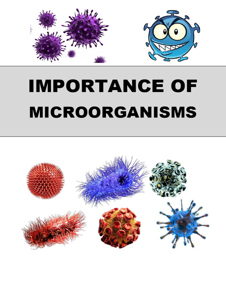 01 Importance of Microorganisms | PDF | Microorganism | Infection