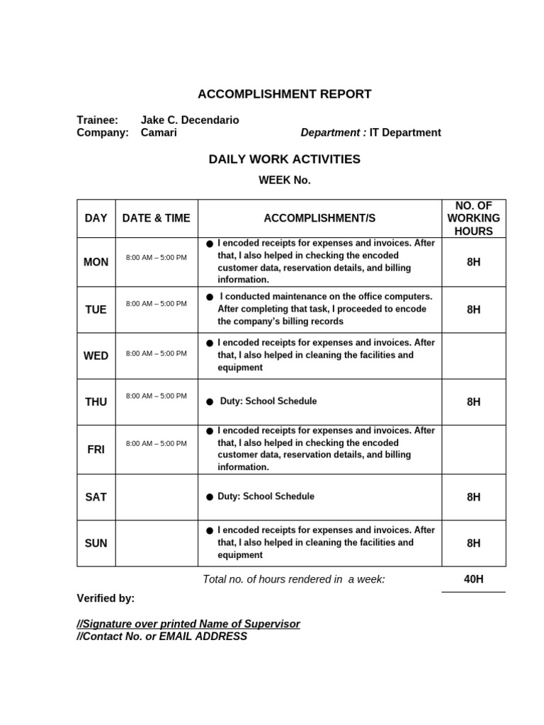 2 Weekly Accomplishment Report | PDF