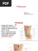 Anatomy of the Peritoneum Explained | PDF | Peritoneum | Anatomy