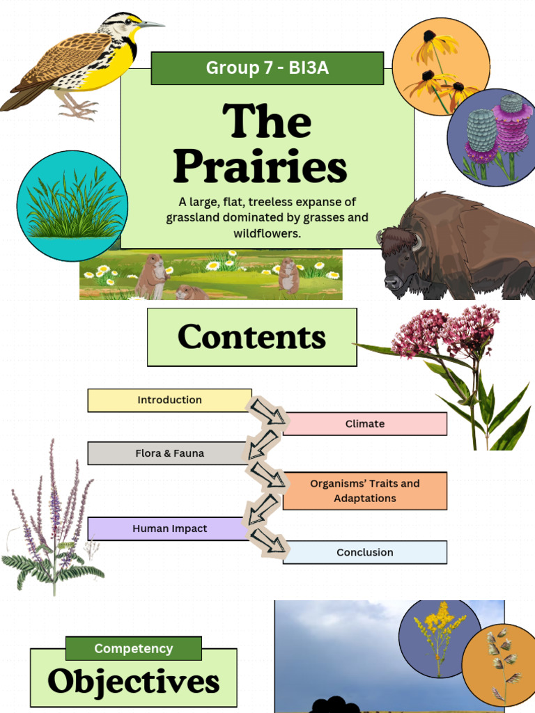 PRAIRIES | PDF | Prairie | Grassland