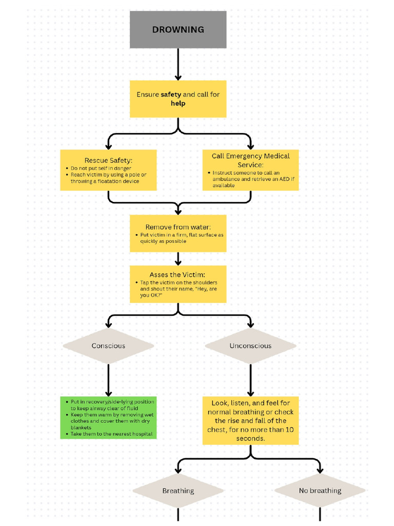 Drowning Algorithm - Disaster Nursing | PDF